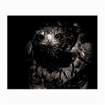 Hawk Small Glasses Cloth