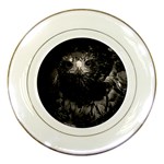 Hawk Porcelain Plate