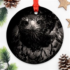 Hawk Round Ornament (Two Sides) from ArtsNow.com Front