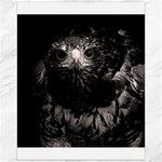Hawk Canvas 16  x 20 