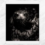 Hawk Canvas 18  x 24 