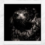 Hawk Canvas 20  x 24 