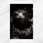 Hawk Canvas 40  x 72 