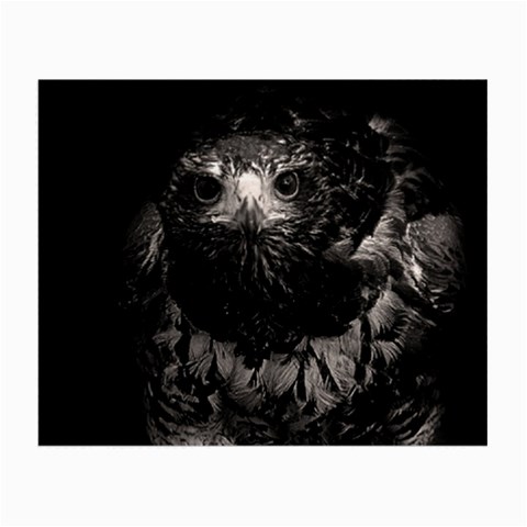 Hawk Small Glasses Cloth (2 Sides) from ArtsNow.com Front
