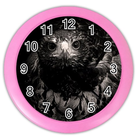 Hawk Color Wall Clock from ArtsNow.com Front