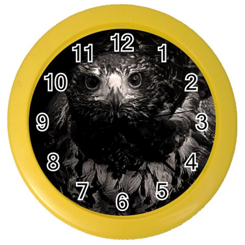 Hawk Color Wall Clock from ArtsNow.com Front