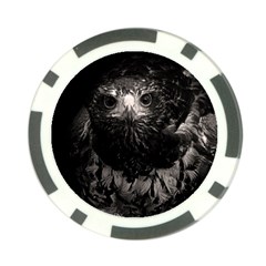 Hawk Poker Chip Card Guard (10 pack) from ArtsNow.com Front
