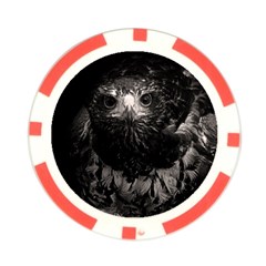 Hawk Poker Chip Card Guard (10 pack) from ArtsNow.com Front