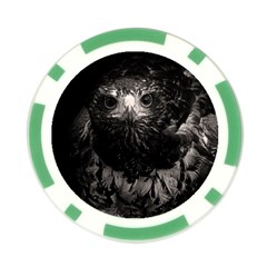 Hawk Poker Chip Card Guard (10 pack) from ArtsNow.com Back