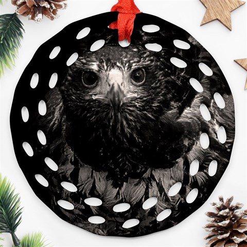 Hawk Round Filigree Ornament (Two Sides) from ArtsNow.com Front