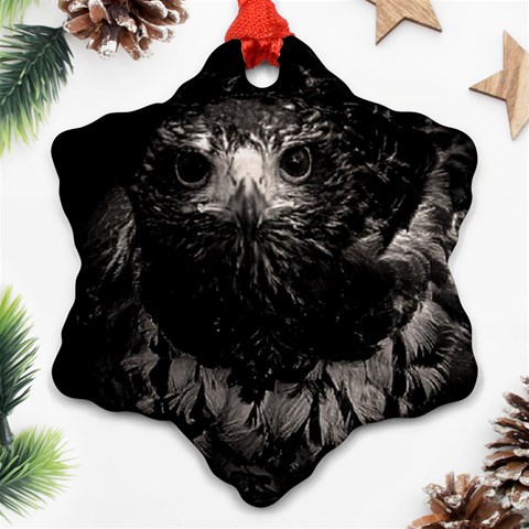 Hawk Snowflake Ornament (Two Sides) from ArtsNow.com Front