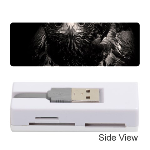 Hawk Memory Card Reader (Stick) from ArtsNow.com Front