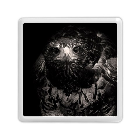 Hawk Memory Card Reader (Square) from ArtsNow.com Front