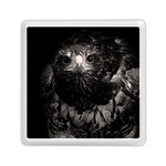 Hawk Memory Card Reader (Square)