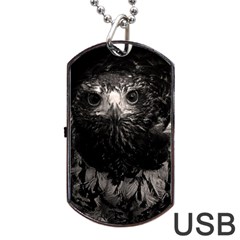 Hawk Dog Tag USB Flash (Two Sides) from ArtsNow.com Front