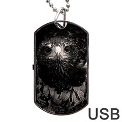 Hawk Dog Tag USB Flash (Two Sides) from ArtsNow.com Back