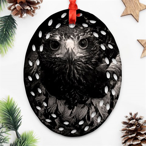 Hawk Ornament (Oval Filigree) from ArtsNow.com Front