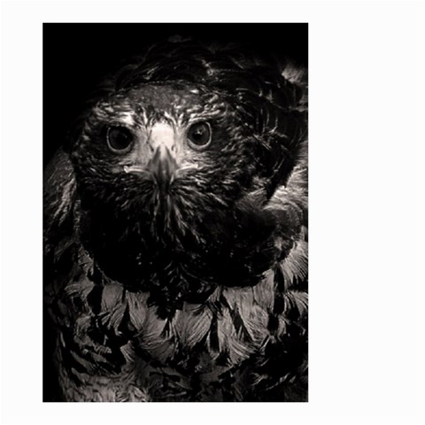 Hawk Large Garden Flag (Two Sides) from ArtsNow.com Back