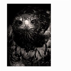 Hawk Large Garden Flag (Two Sides) from ArtsNow.com Back