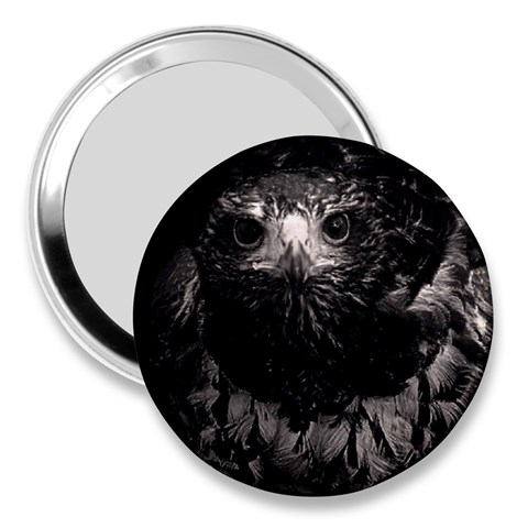 Hawk 3  Handbag Mirror from ArtsNow.com Front