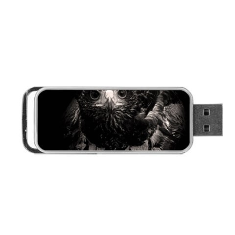 Hawk Portable USB Flash (One Side) from ArtsNow.com Front