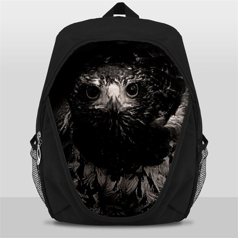 Hawk Backpack Bag from ArtsNow.com Front