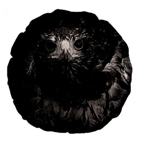Hawk Large 18  Premium Round Cushion  from ArtsNow.com Front