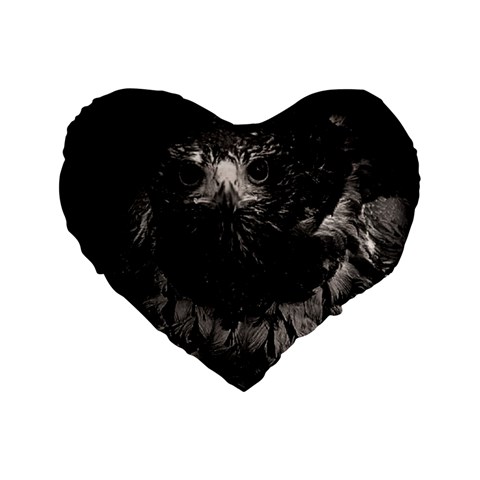 Hawk Standard 16  Premium Heart Shape Cushion  from ArtsNow.com Front