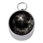 Hawk Silver Compass (Mini)