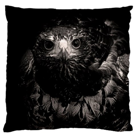 Hawk Standard Flano Cushion Case (One Side) from ArtsNow.com Front