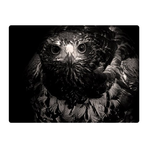 Hawk Double Sided Flano Blanket (Mini) from ArtsNow.com 35 x27  Blanket Front