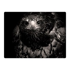 Hawk Double Sided Flano Blanket (Mini) from ArtsNow.com 35 x27  Blanket Front