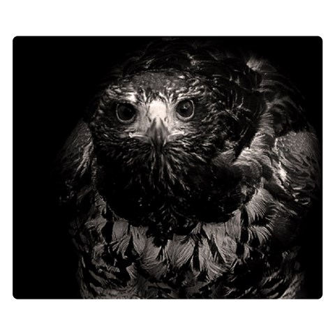 Hawk Double Sided Flano Blanket (Small) from ArtsNow.com 50 x40  Blanket Front