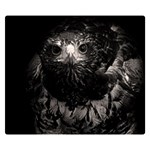 Hawk Double Sided Flano Blanket (Small)