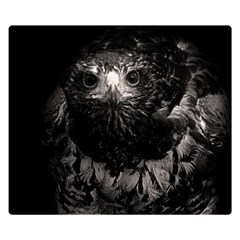 Hawk Double Sided Flano Blanket (Small) from ArtsNow.com 50 x40  Blanket Back