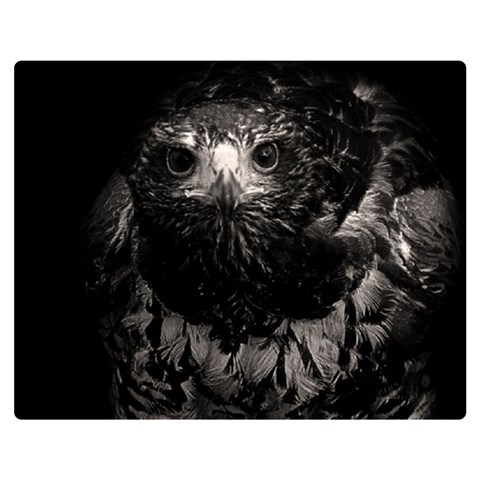 Hawk Double Sided Flano Blanket (Medium) from ArtsNow.com 60 x50  Blanket Front