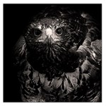 Hawk Large Satin Scarf (Square)