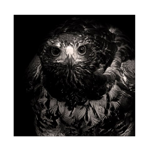 Hawk Duvet Cover Double Side (Full/ Double Size) from ArtsNow.com Back