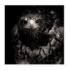 Hawk Duvet Cover Double Side (Queen Size) from ArtsNow.com Back