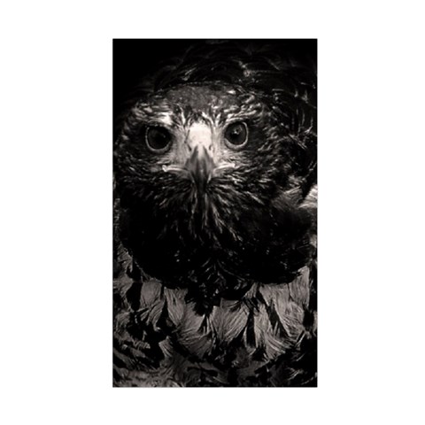 Hawk Duvet Cover (Single Size) from ArtsNow.com Duvet Quilt
