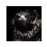Hawk Small Satin Scarf (Square)