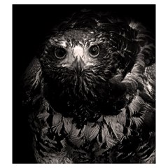 Hawk Drawstring Pouch (XXL) from ArtsNow.com Back