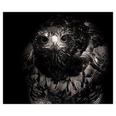 Hawk Medium Zipper Tote Bag from ArtsNow.com Back