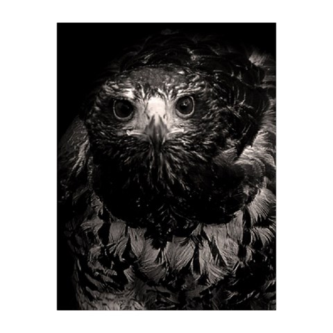 Hawk Medium Tapestry from ArtsNow.com Front