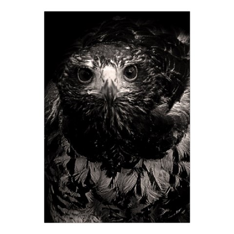 Hawk Large Tapestry from ArtsNow.com Front