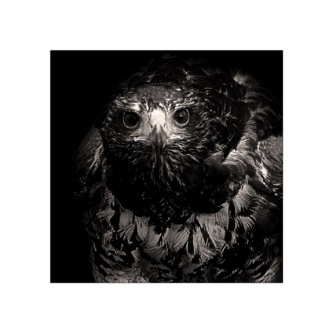 Hawk Square Tapestry (Small) from ArtsNow.com Front