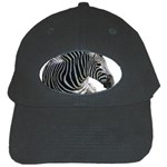 Zebra Black Cap
