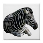 Zebra Tile Coaster