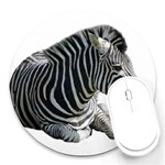 Zebra Round Mousepad