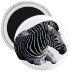 Zebra 3  Magnet